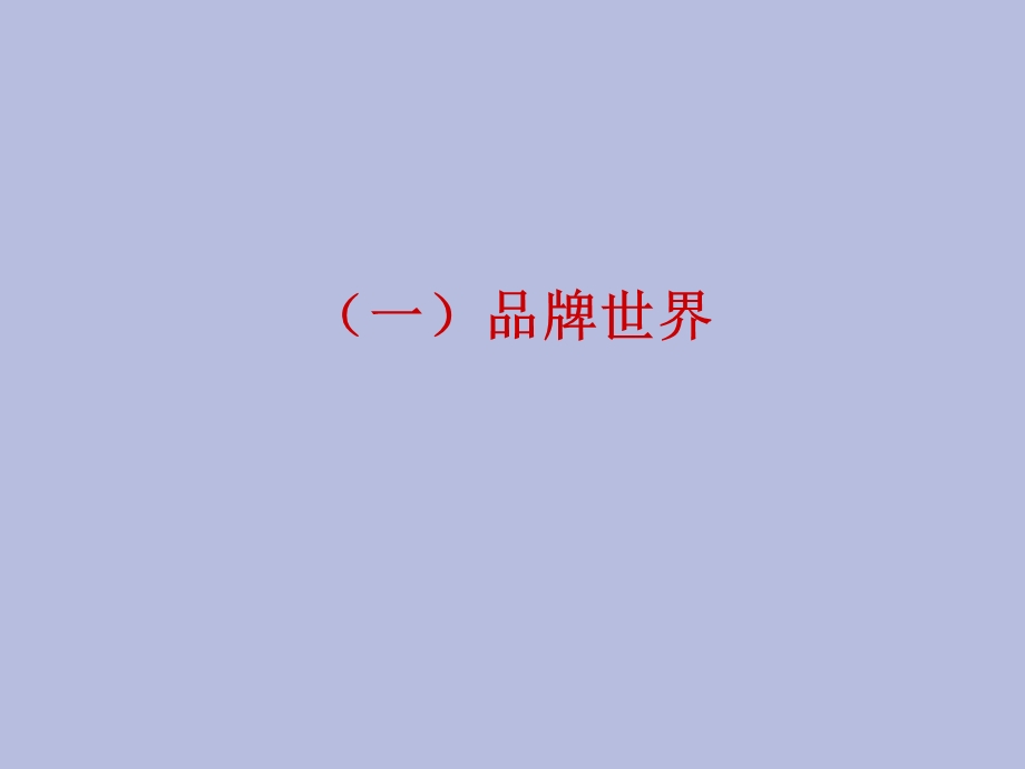 品牌发展方向.ppt_第2页