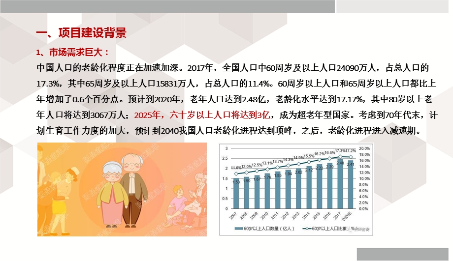 国际康养项目建设开发运营思路.ppt_第2页