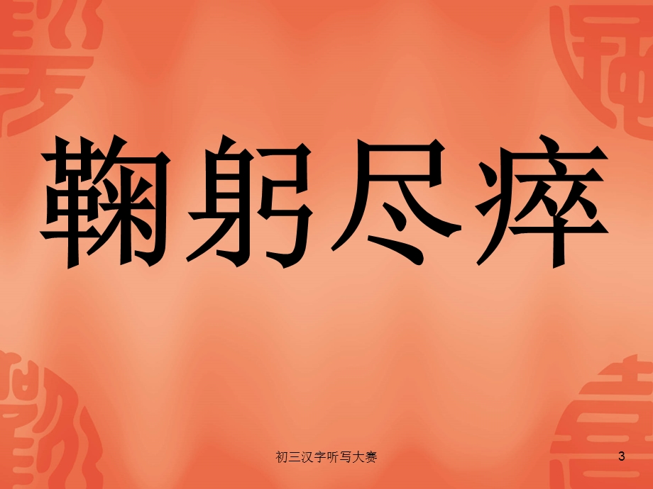 初三汉字听写大赛.ppt_第3页