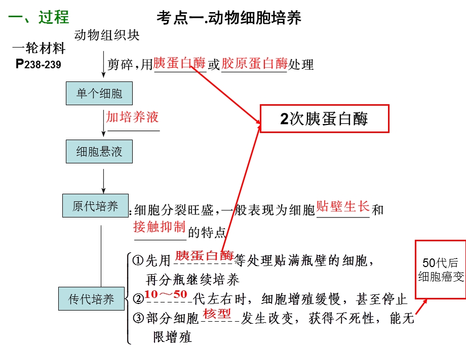 动物细胞工程高三一轮复习(超好).ppt_第3页