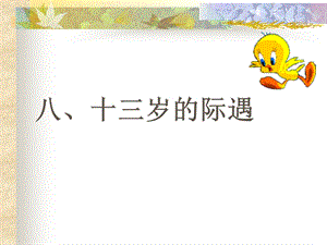 初一语文《十三岁的际遇》PPT课件.ppt