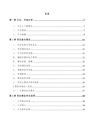 宿迁检测智能仪器项目可行性研究报告.docx