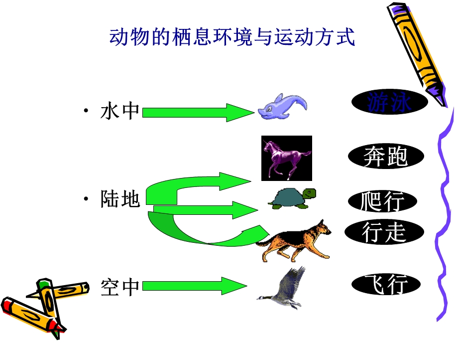 动物的运动和行为 复习课件.ppt_第2页