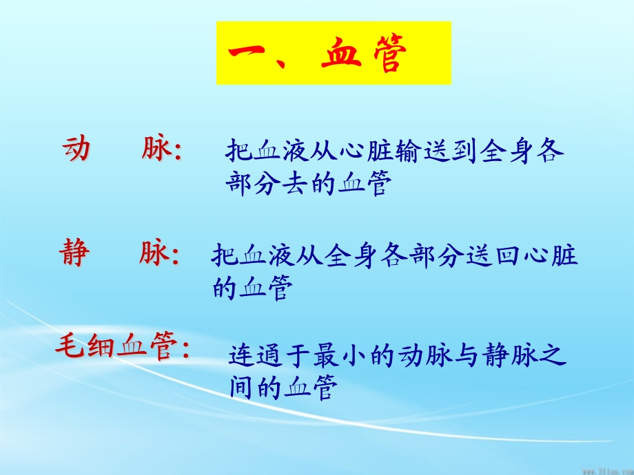 动脉静脉毛细血管.ppt_第3页