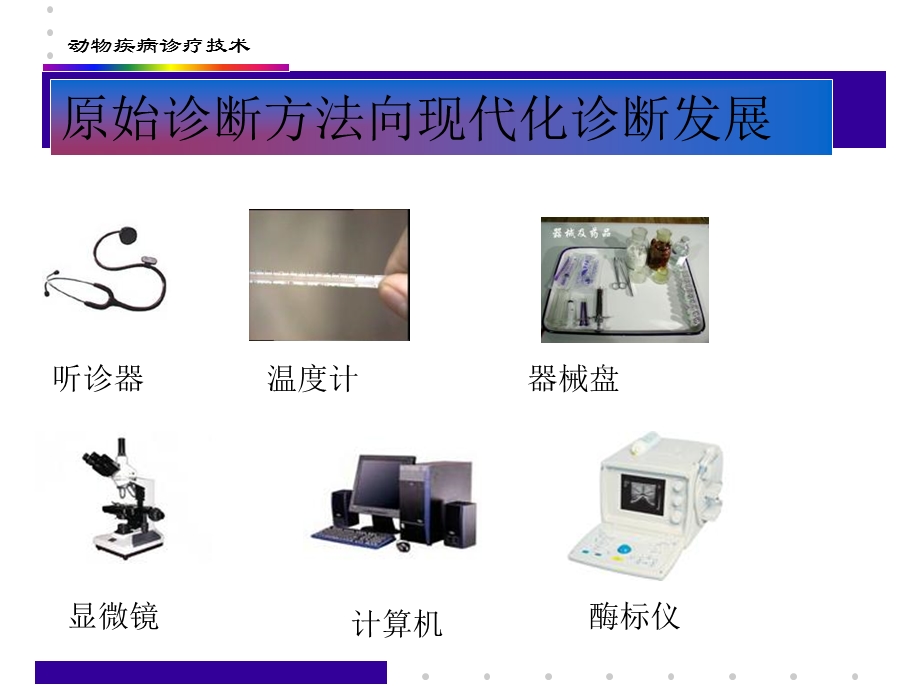 动物疾病诊疗技术.ppt_第2页