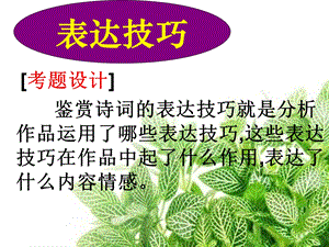 诗歌鉴赏之表达技巧分析chc.ppt