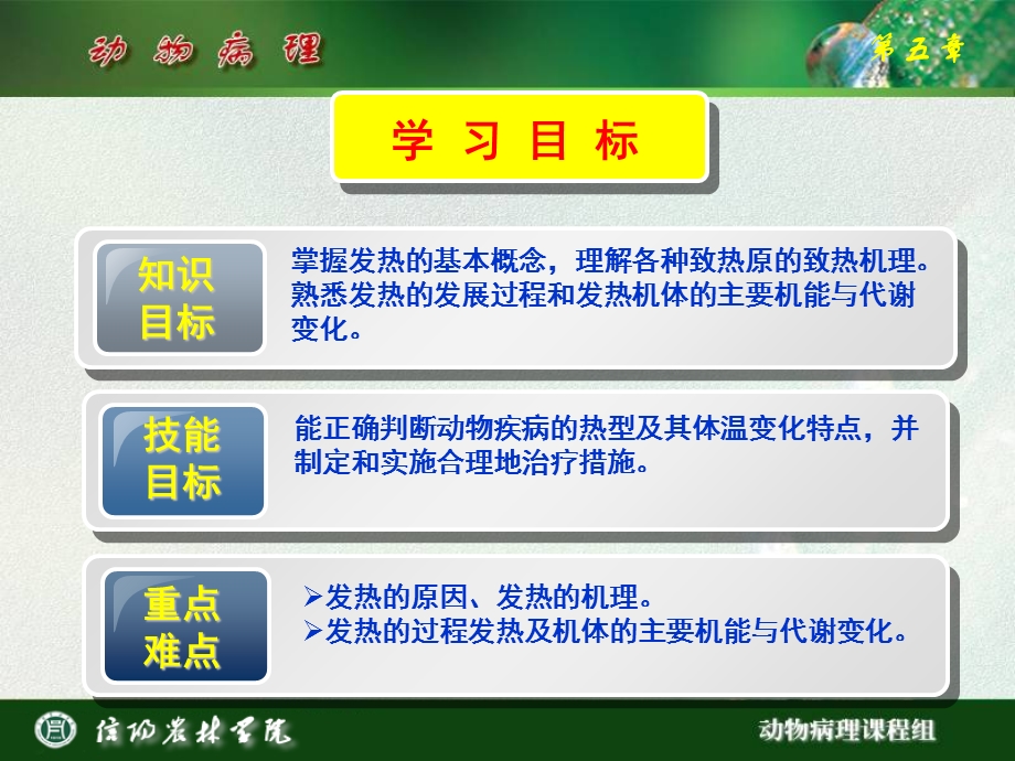 发热的原因与机理.ppt_第2页