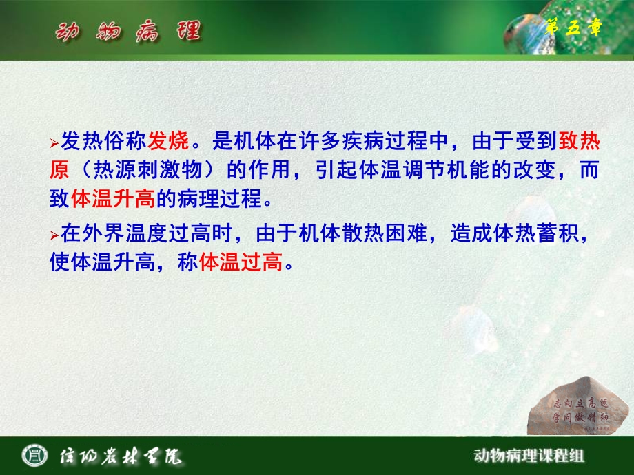 发热的原因与机理.ppt_第3页