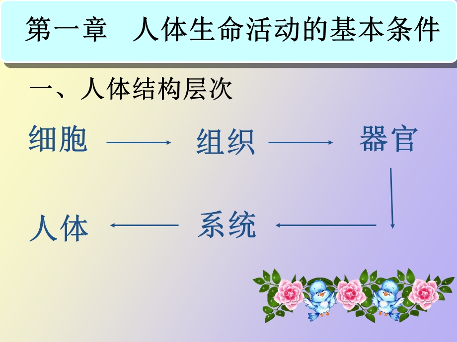 初中生命科学总复习.ppt_第2页