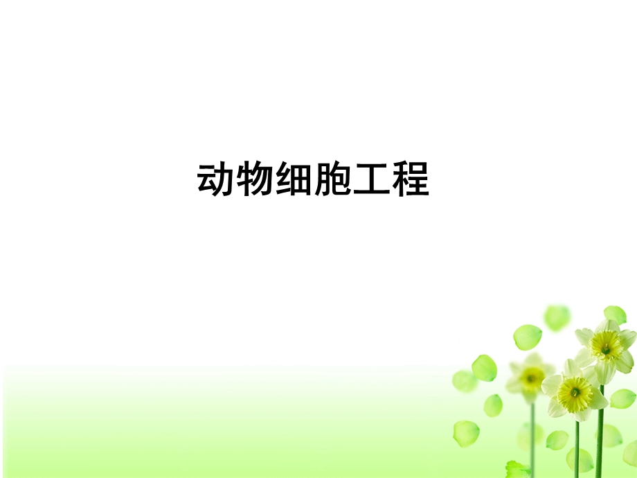 动物体细胞核移植技术和克隆动物(2016年).ppt_第1页