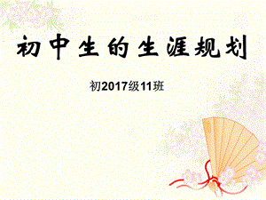 初中生的生涯规划.ppt