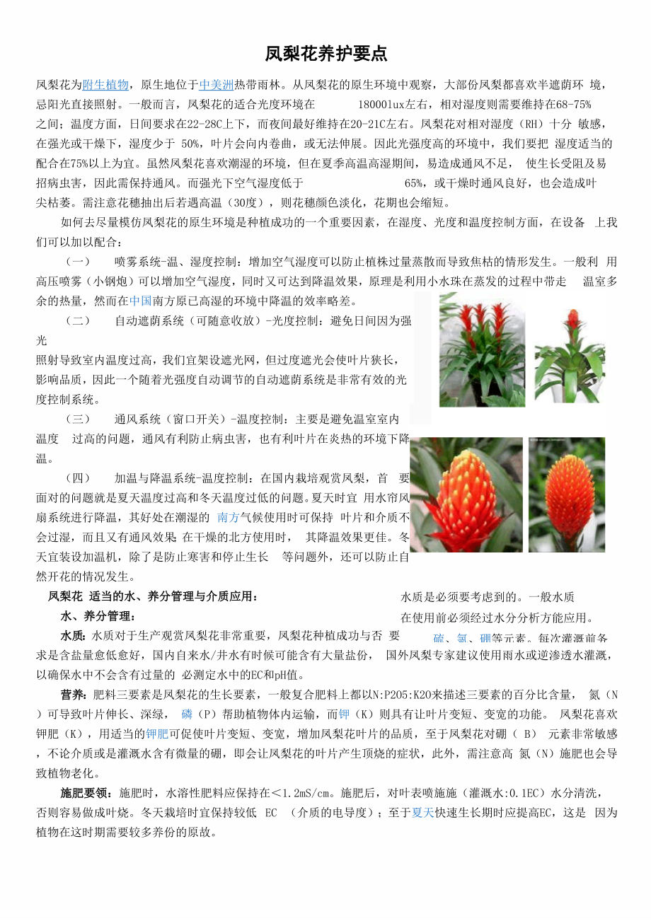 凤梨花养护要点.docx_第1页