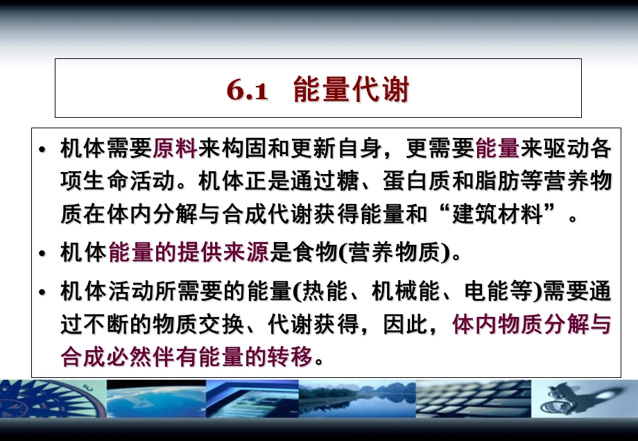 动物生理学-第六章.ppt_第2页