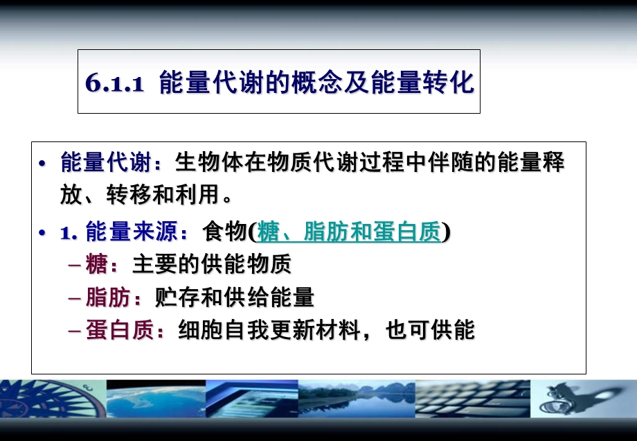 动物生理学-第六章.ppt_第3页