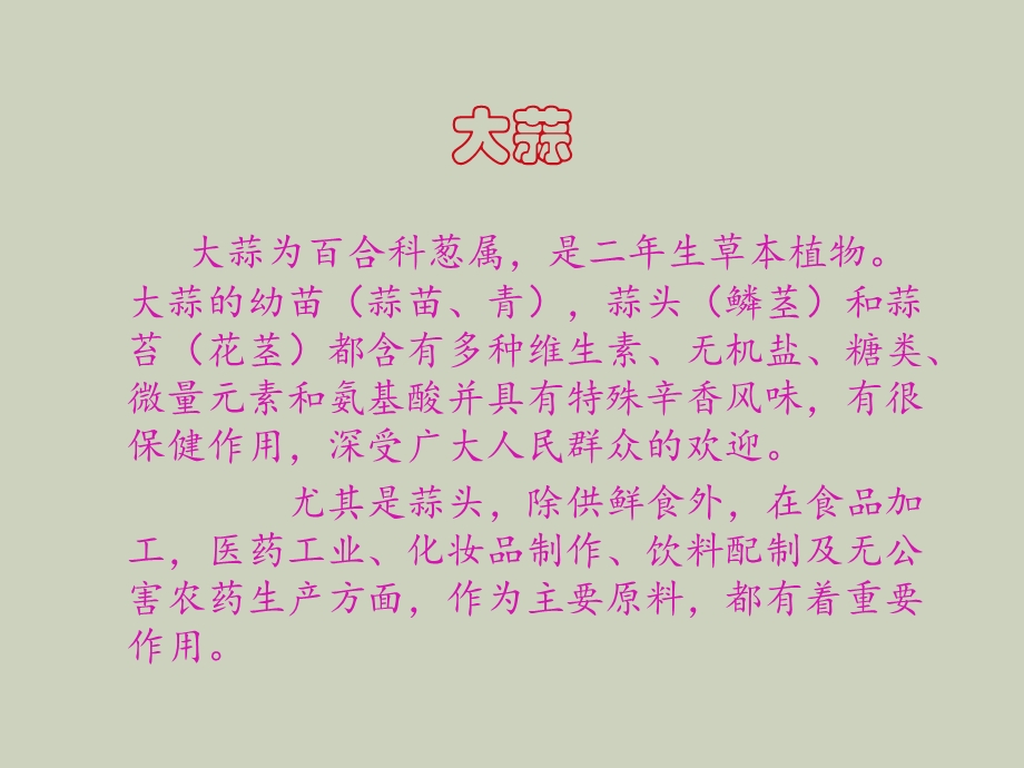 大蒜化学除草及药.ppt_第2页