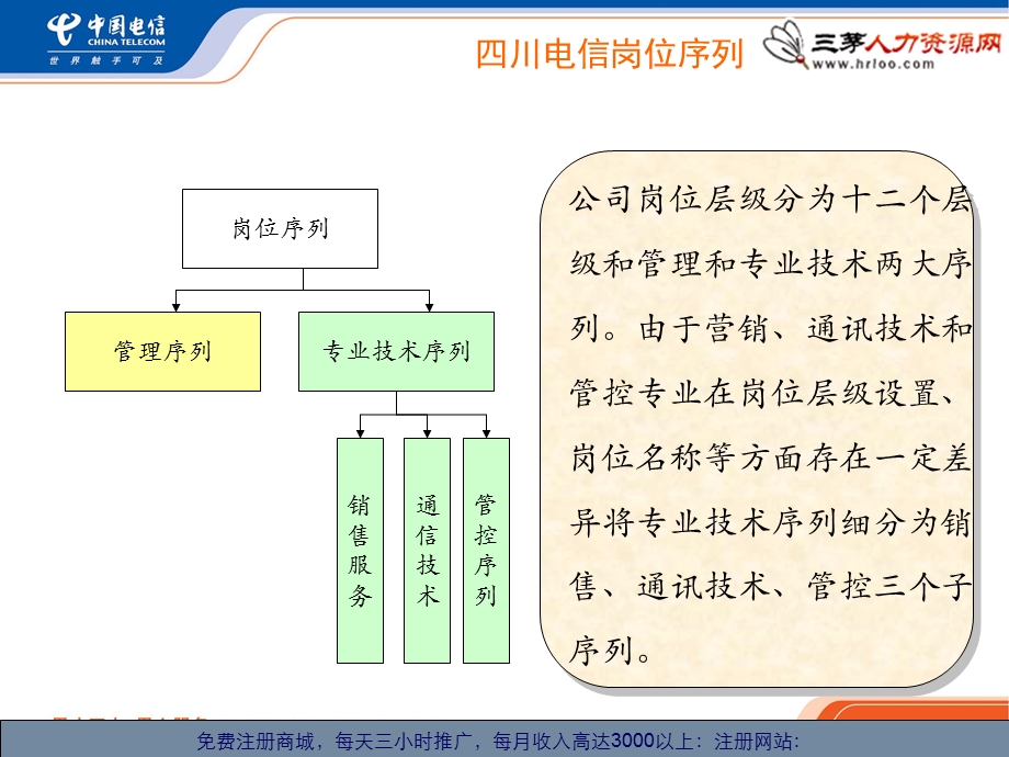 岗位体系及职业发展通道.ppt_第3页