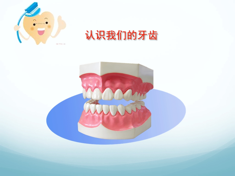 儿童牙齿保健PPT课件.ppt_第3页