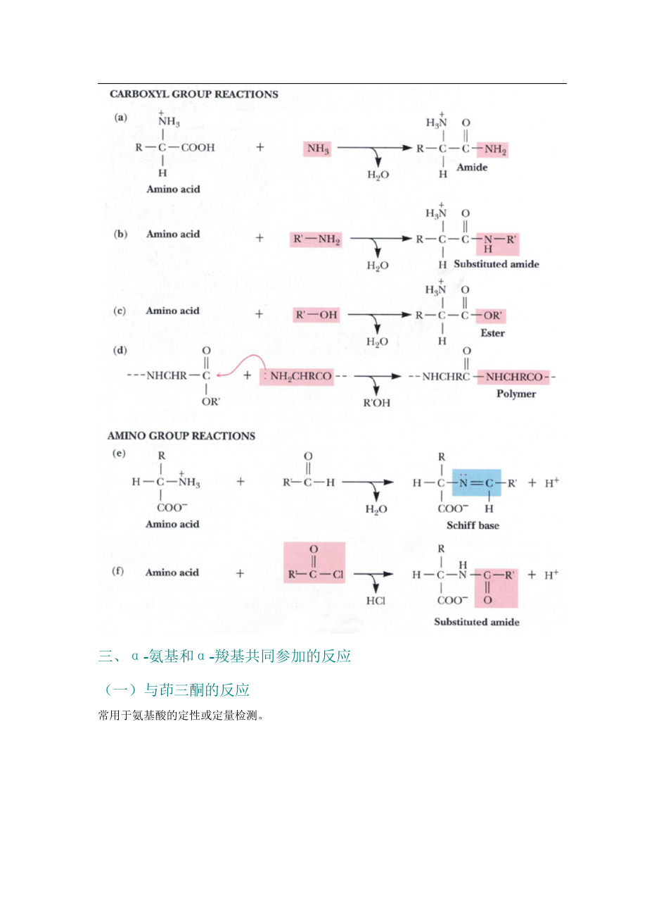 第3章氨基酸下.doc_第2页