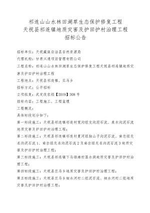 祁连山山水林田湖草生态保护修复工程天祝县祁连镇地质灾害及护田护村治理工程.docx