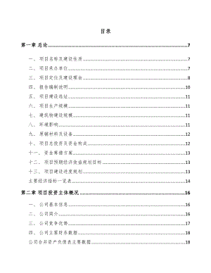 宣城汽车灯具项目可行性研究报告.docx