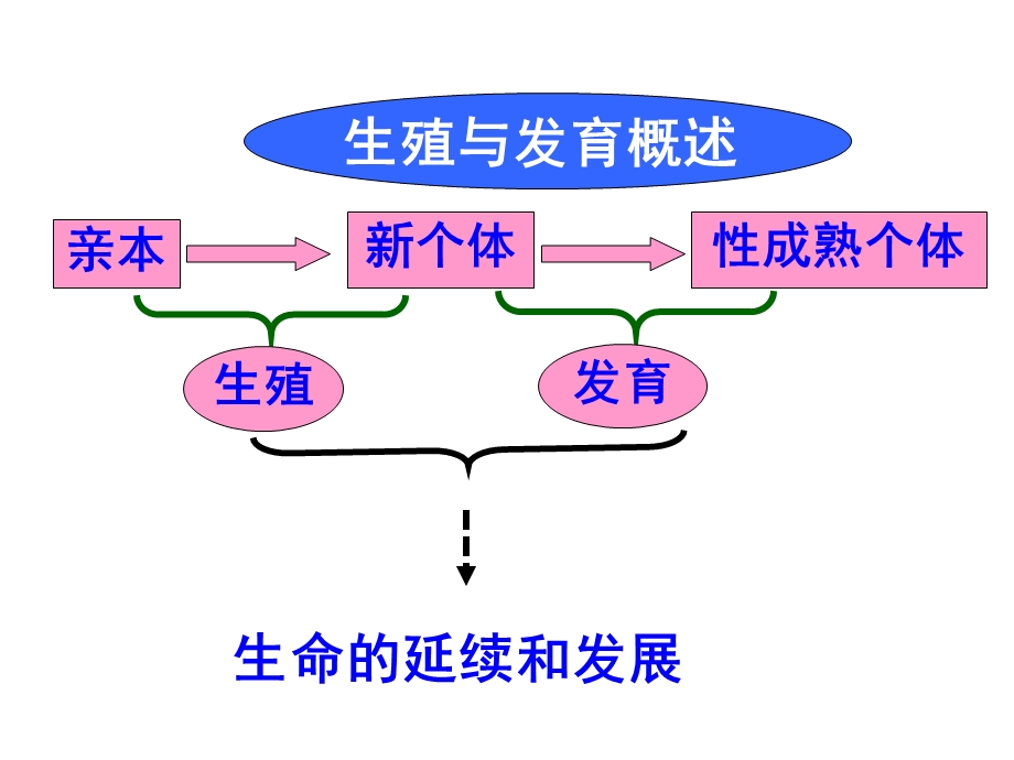 八下第一章生物的生殖和发育复习.ppt_第2页