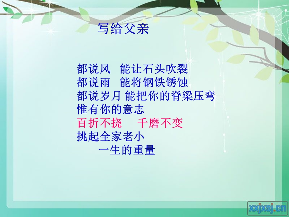 企鹅爸爸课件 (2).ppt_第1页