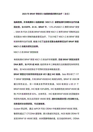 2023年BRAF突变非小细胞肺癌的靶向治疗（全文）.docx