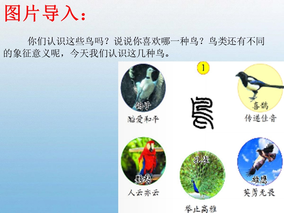 汉字家园1 (4).ppt_第3页