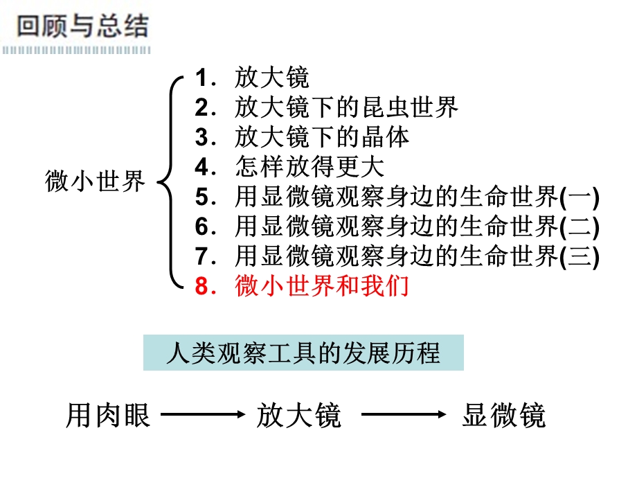 六下一8微小世界和我们 (2).ppt_第2页