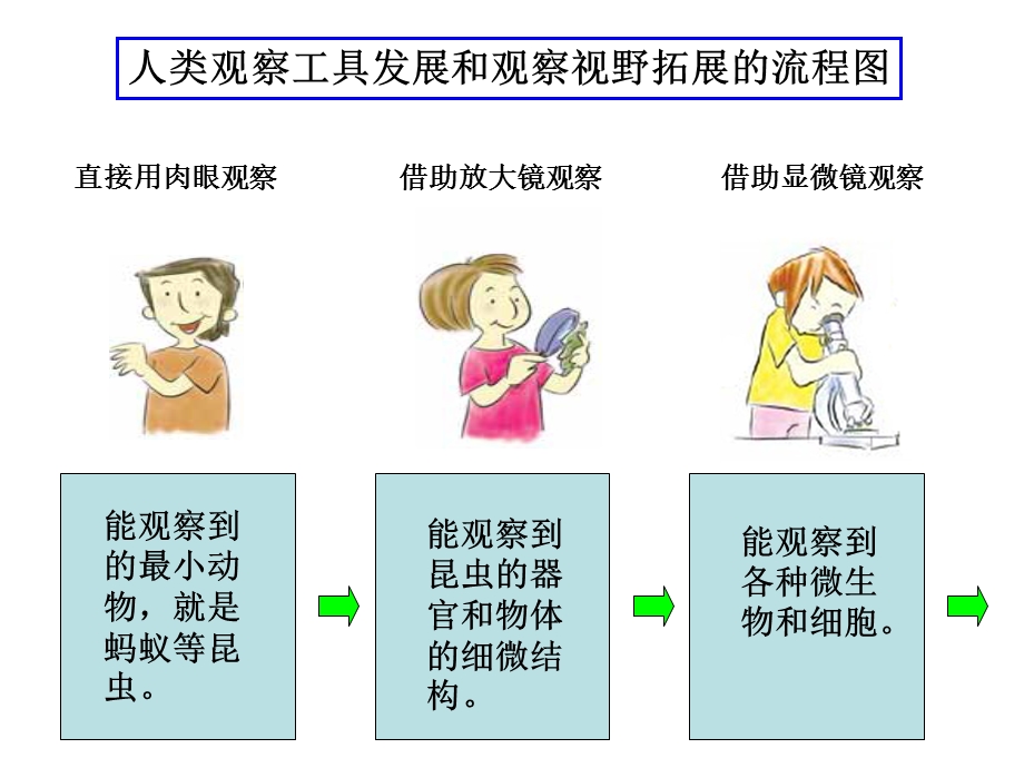 六下一8微小世界和我们 (2).ppt_第3页