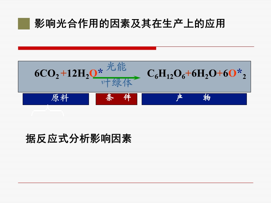 影响光合作用的环境因素及其在生产上的应用.ppt_第2页