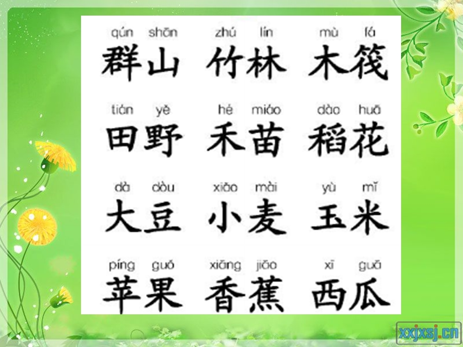 汉字家园一5 (2).ppt_第2页