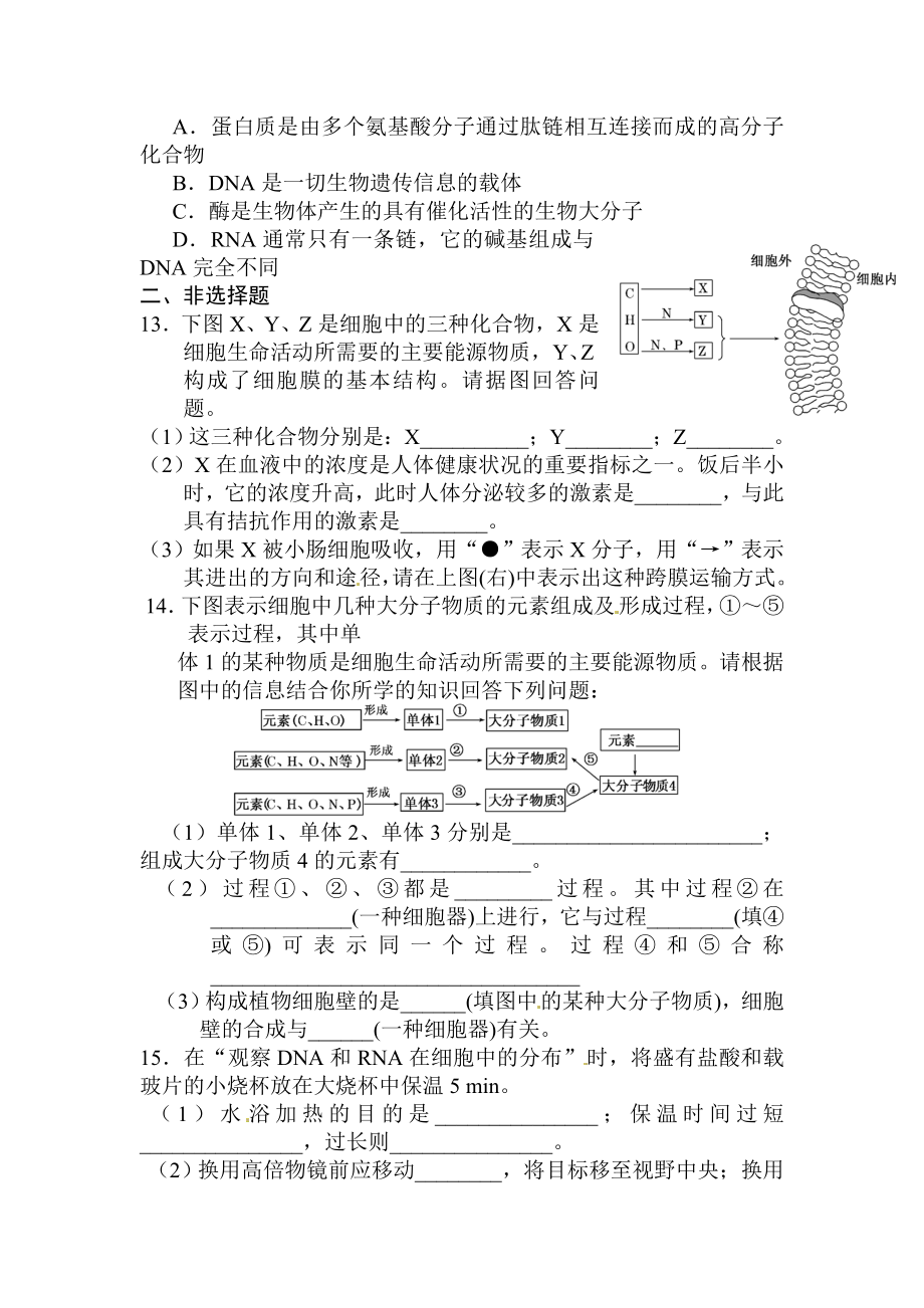 复件高一生物第二章四节习题.doc_第3页