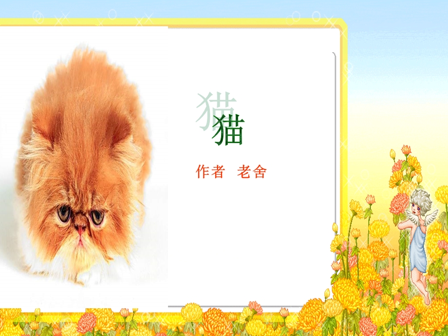 小学语文课件-猫 (2).ppt_第1页