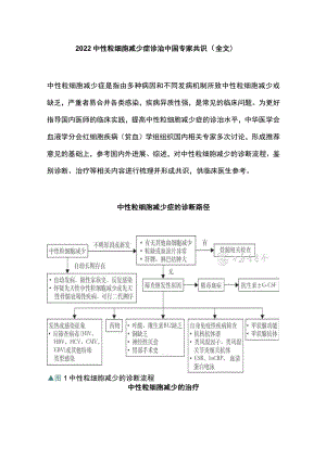 2022中性粒细胞减少症诊治中国专家共识（全文）.docx