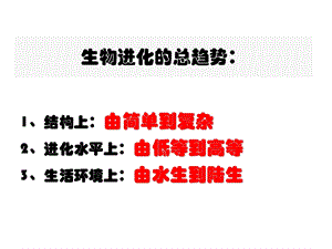 生物进化的原因 (2).ppt