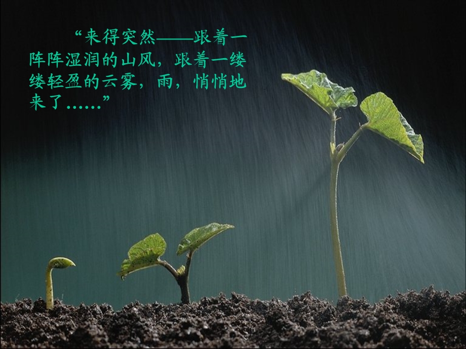 人教版六年级语文上册《山雨》PPT课件.ppt_第2页