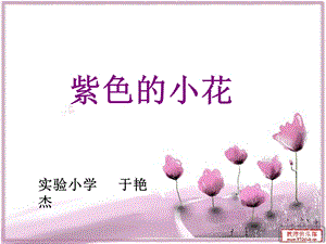 紫色的小花 (2).ppt