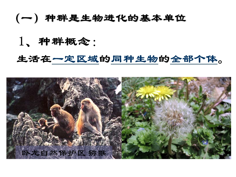 必修2第七章第二节_现代生物进化理论的主要内容2.ppt_第3页