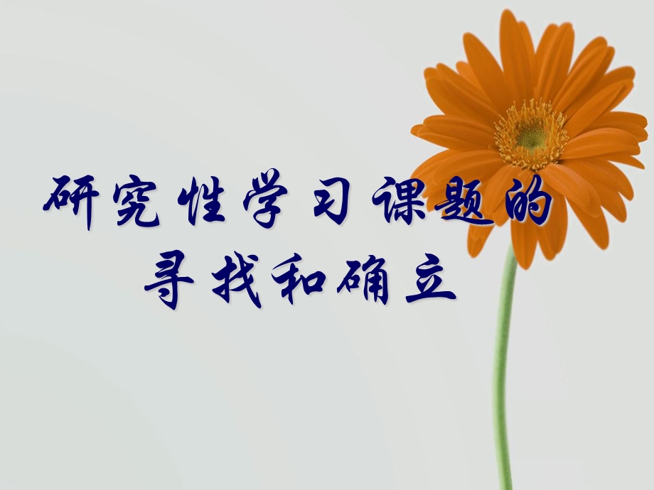 研究性学习课题的寻找和确立.ppt_第1页