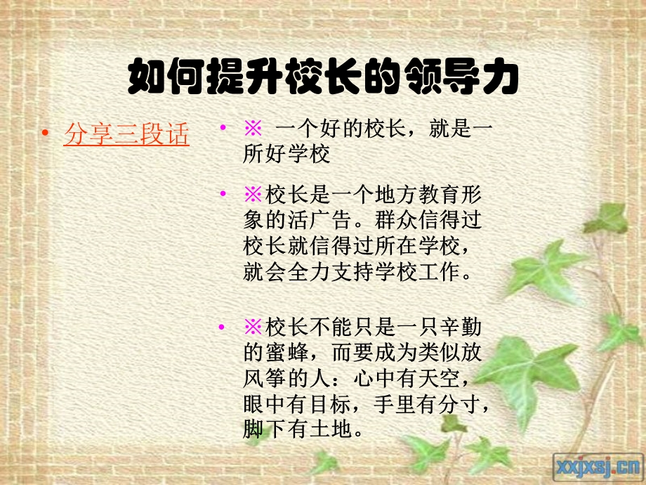 如何提升校长的领导力.ppt_第3页