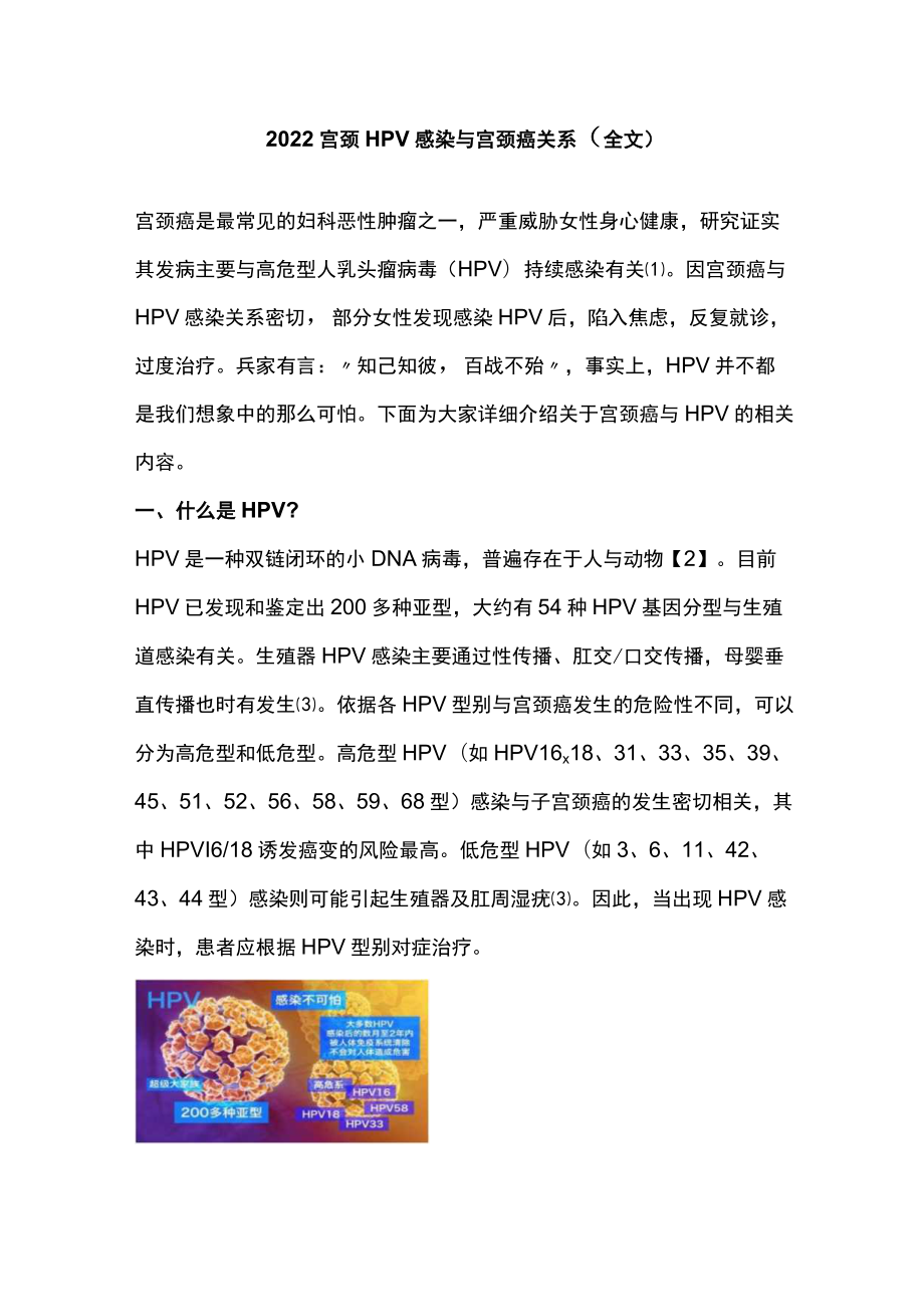 2022宫颈HPV感染与宫颈癌关系（全文）.docx_第1页