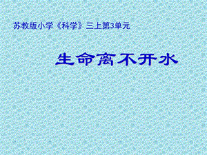 生命离不开水(PPT).ppt