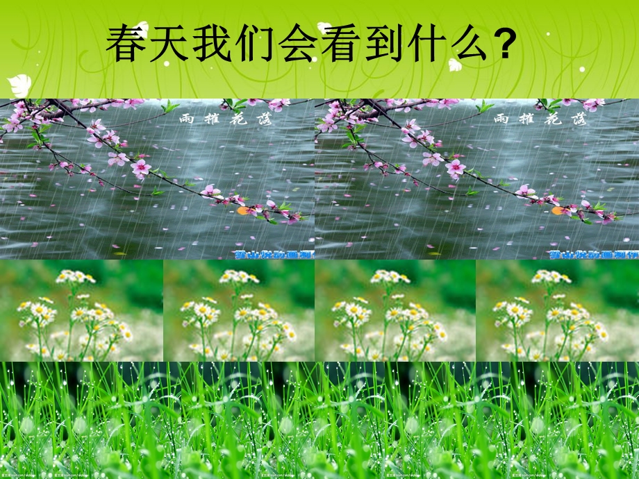 小雨沙沙沙(1).ppt_第2页