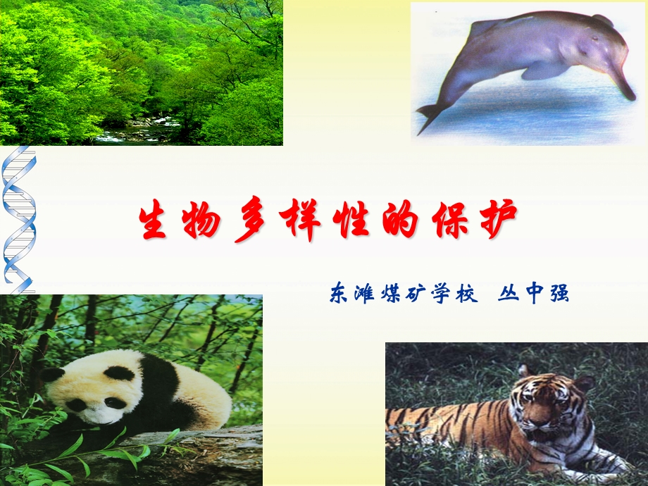 生物多样性的保护.ppt_第1页