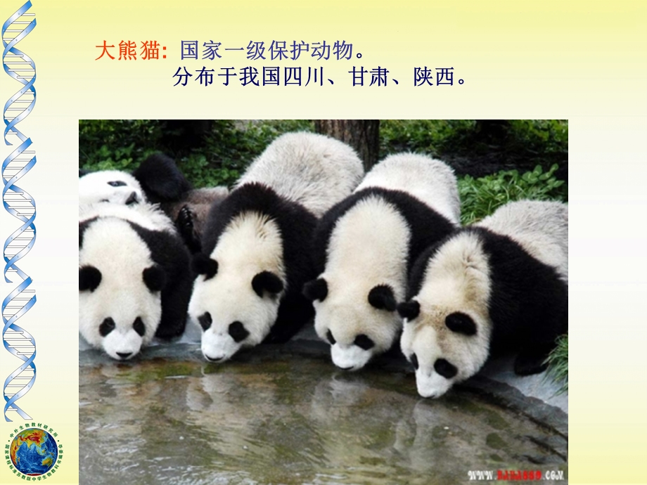 生物多样性的保护.ppt_第3页