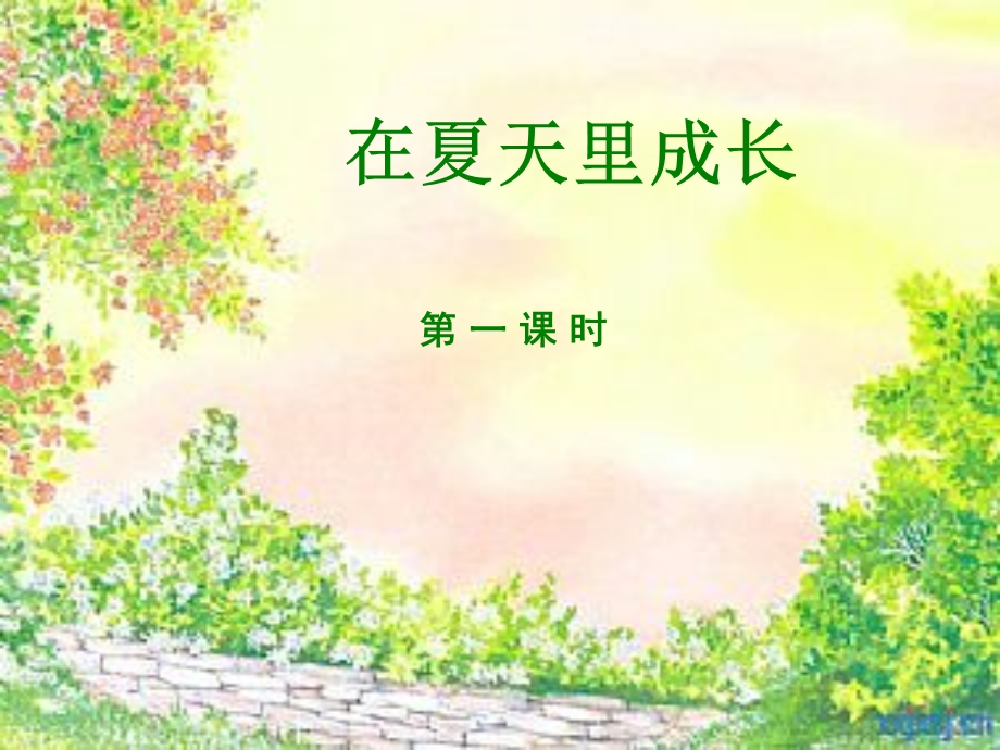 在夏天里成长 (6).ppt_第3页