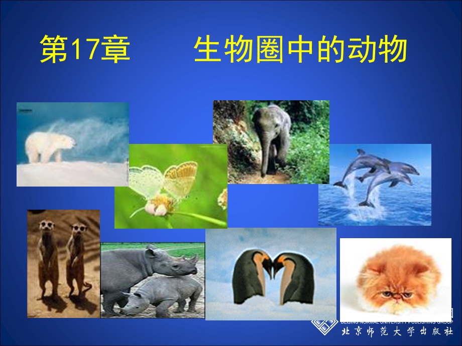 动物在生物圈中的作用（第一课时）.ppt_第1页