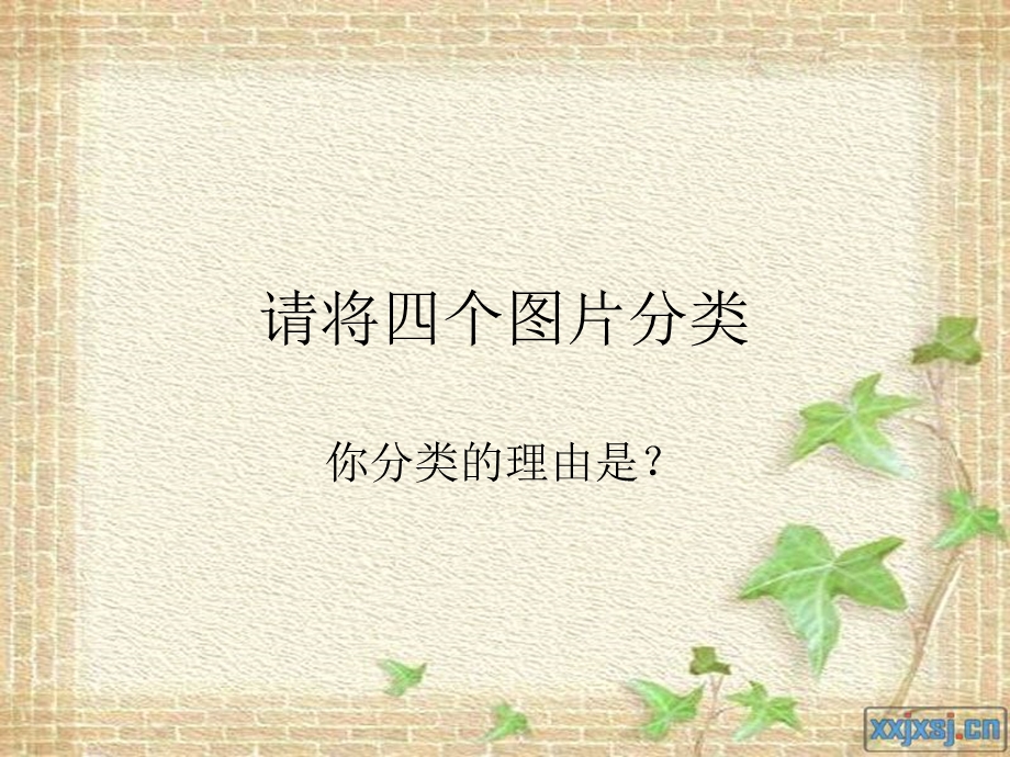 图形的平移(2).ppt_第2页