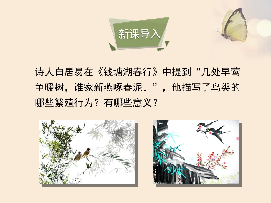 昆虫的生殖和发育(2).ppt_第3页